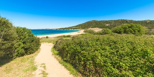 La subida del nivel del mar será más rápida de lo esperado, según nuevos estudios